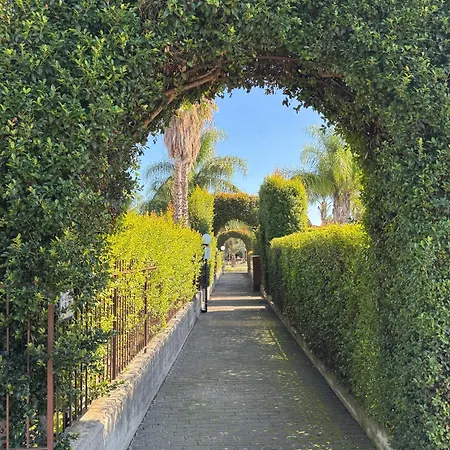 La Stella Del Sud -